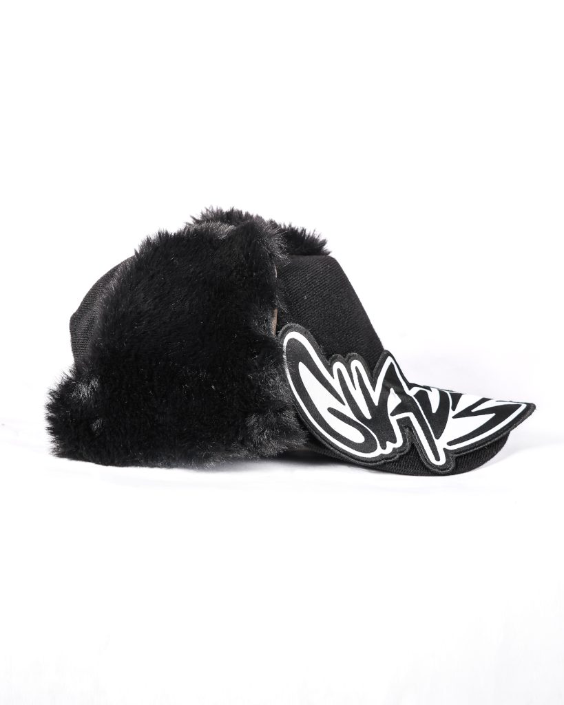 patchcap_ears2